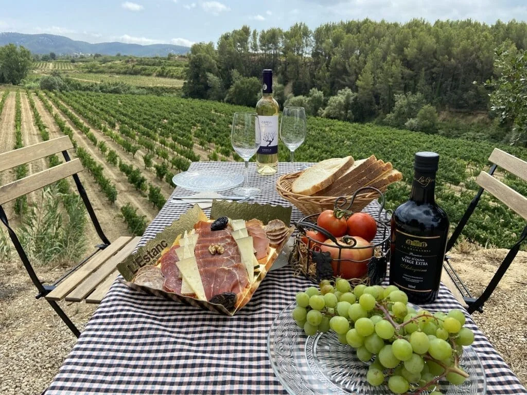 cata vinos excursion