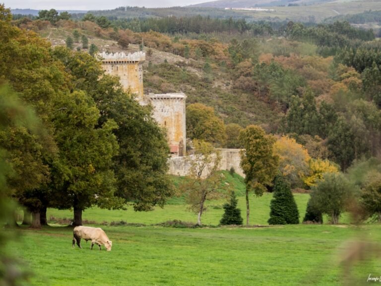 Castillo de Pambre, Galicia