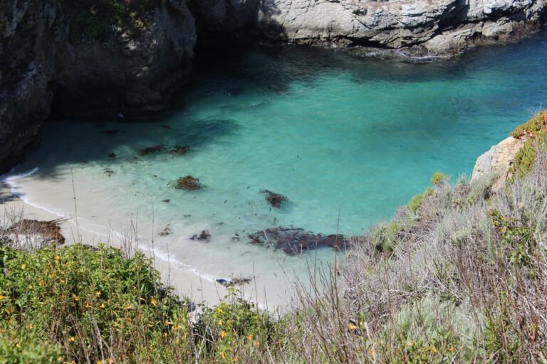 Las Mejores Playas y Calas de Mallorca para Este Verano