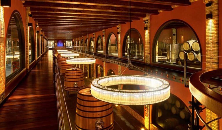 Bodegas en Lanzarote: Vino Volcánico y Experiencias Únicas