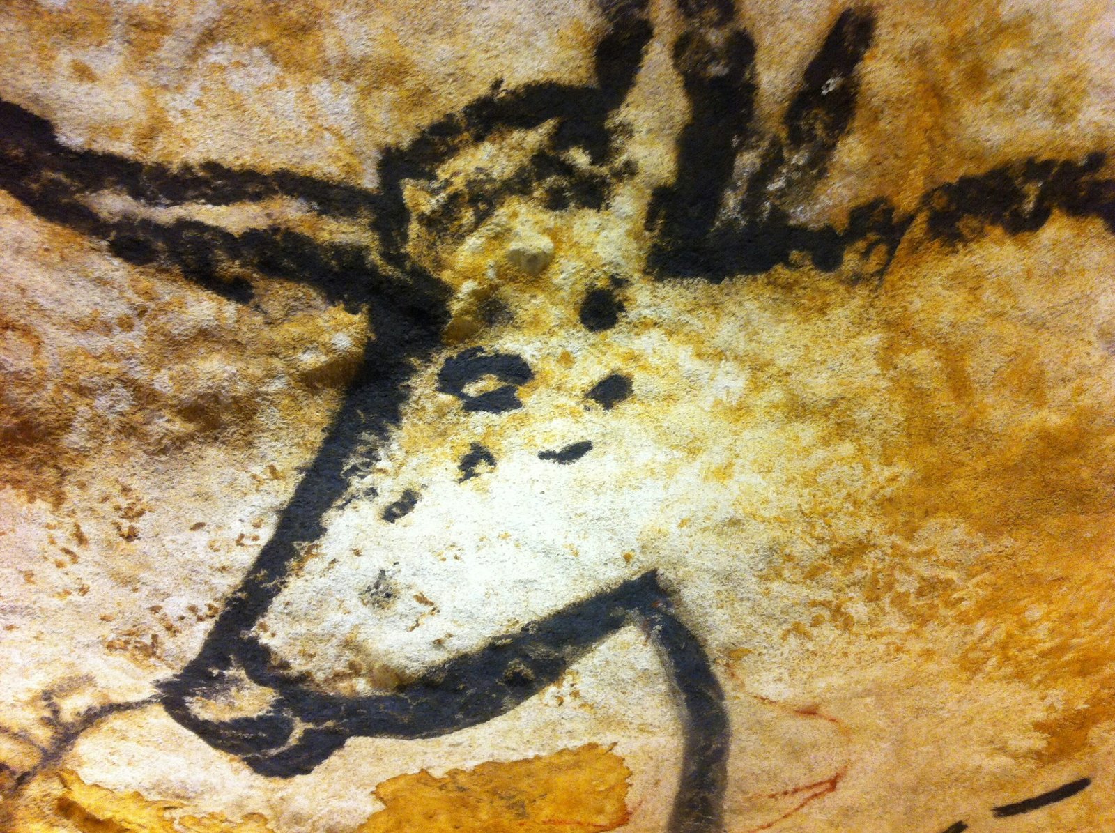 Cuevas de Altamira y Otras Joyas Prehistóricas de Cantabria