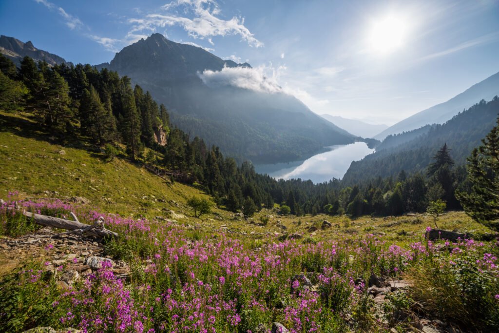 Parque Nacional Aigüestortes y Estany de Sant Maurici